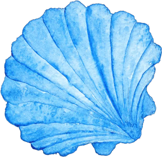 Sea Shell Blue Sea Shell Png Sea Shell Png
