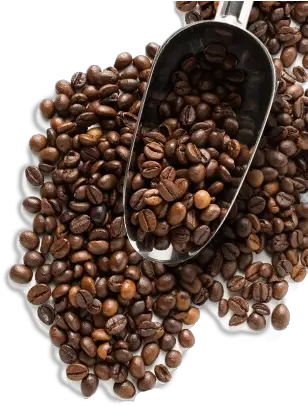 Coffee Beans Png Image Roasted Coffee Beans Png Coffee Beans Transparent Background
