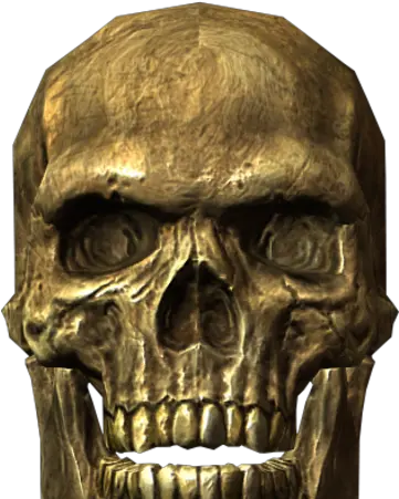 Skull Skyrim Skull Png Human Skull Png