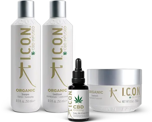 Joanna Regis Estilista Tienda Icon Tienda Online Icon Organic Cbd Png Linea Icon