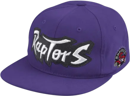 Mitchell U0026 Ness Toronto Raptors Deadstock Snapback Baseball Cap Png Ness Png