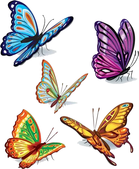 Butterflies Vector Png Image Vector Butterflies Png Butterfly Vector Png