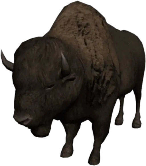 Vector Png Hd 0 Transparent Background Bison