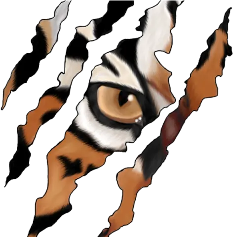 Claws Clipart Cheetah Png Download Full Size Clipart Tigre Png Cheetah Png