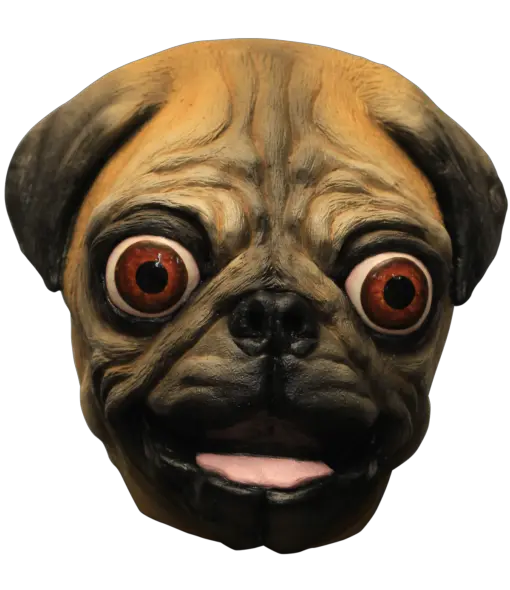 Pug Mask Transparent Png Pug Mask Png Funny Dog Png