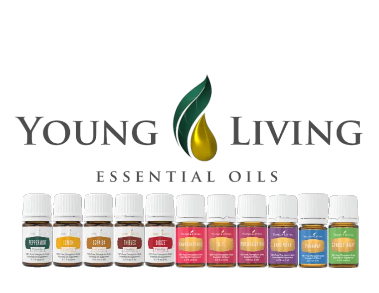 Young Living Essential Oil Young Living Essential Oils Transparent Png Young Living Logo Png