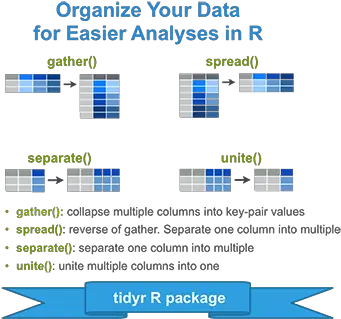 Tidyr Crucial Step Reshaping Data With R For Easier Png D Icon