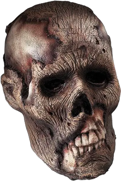 Download Skeleton Head Png Clipart Zombie Skull Png Skeleton Face Png