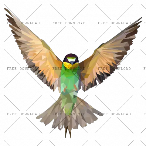 Png Image With Transparent Background Beautiful Bird Png Parrot Transparent Background