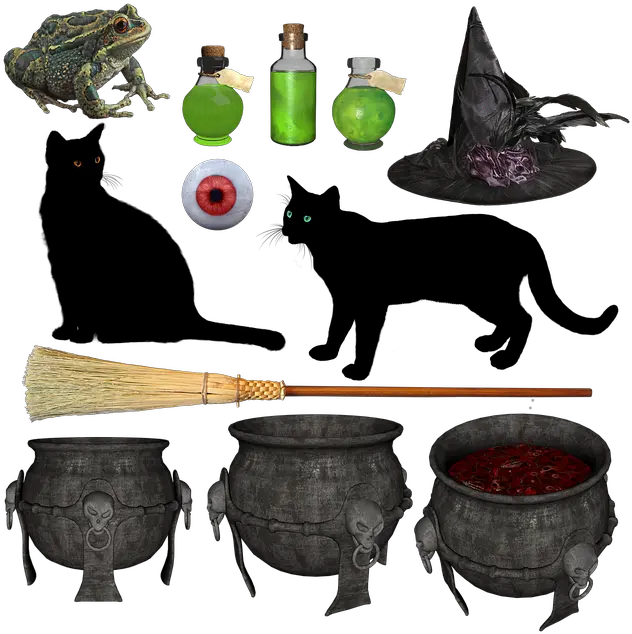 Freetoedit Sticker Witch Halloween Cauldron Broom Clipart Witches Cauldron Png Cauldron Png