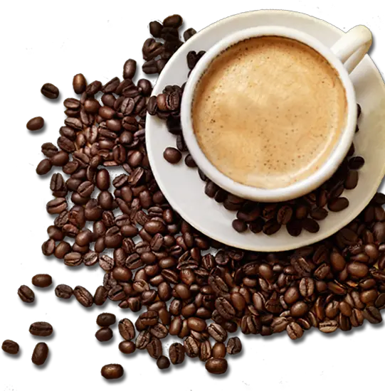 Png Hd Transparent Coffee Cup Of Coffee Png Coffee Cups Png