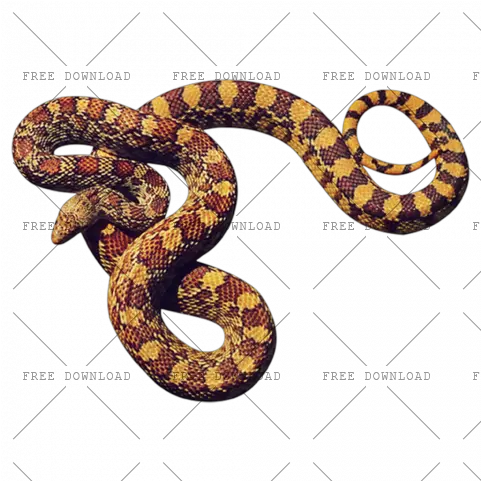 Anaconda Png Image With Transparent Background Photo 8 Cobras Png Snake Transparent Background