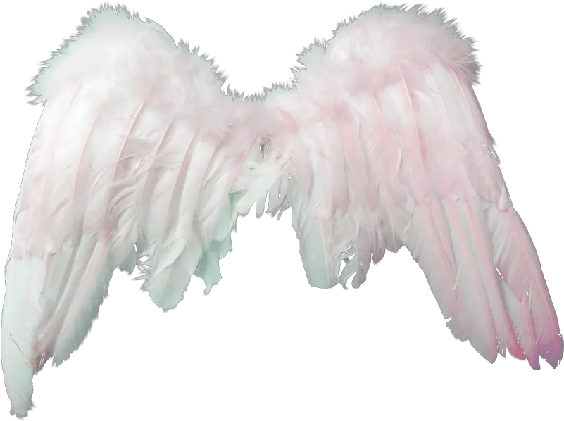 Clipart Angel Png 19578 Free Icons And Png Backgrounds Alas De Angel Png Angel Png