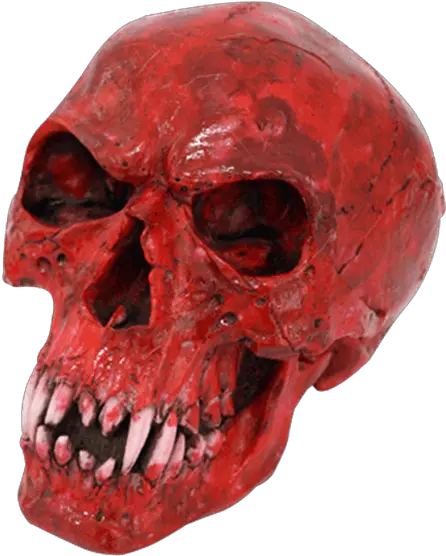 Skeleton Png Images Skull Skeleton Head Png