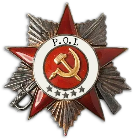 Dayz Info Green Beanies Soviet Medal Png Dayz Png