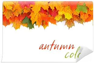 Autumn Leaves Border Wall Mural U2022 Pixers We Live To Change Horizontal Png Fall Leaves Border Png