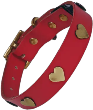 Spike Dog Collar Transparent Png Red Dog Collar With Bones Collar Png