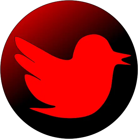 User Account Red Twitter Icon Transparent Png Twitter Logo Small