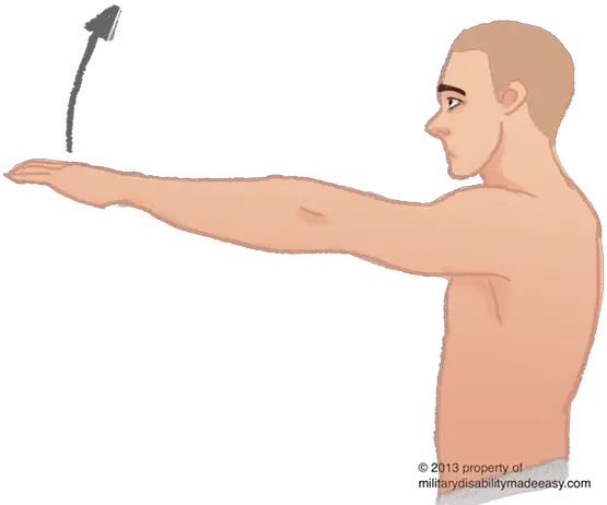 Muscle Arms Arm Straight Forward Transparent Png Shoulder Pain When Lifting Arm Forward Muscle Arm Png