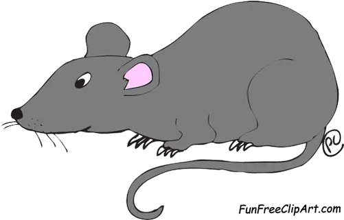 Rat Clipart Transparent Png Background