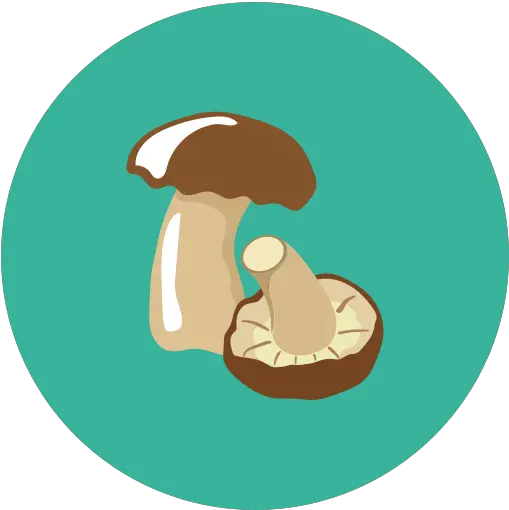 Forty Five Kg Kilogram Icon Shiitake Png Kg Icon