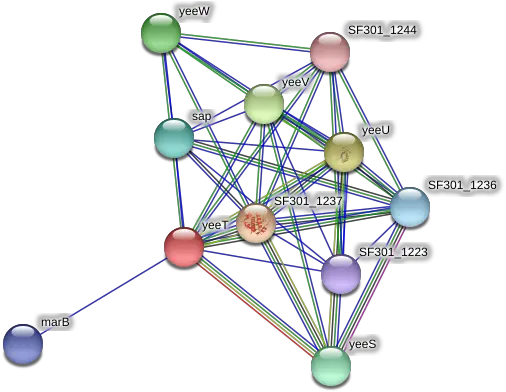 Yeet Protein Shigella Flexneri String Interaction Network Circle Png Yeet Png