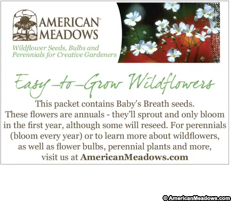 Baby Shower Seed Packet American Meadows Christmas Eve Cayena Png Christmas Eve Png