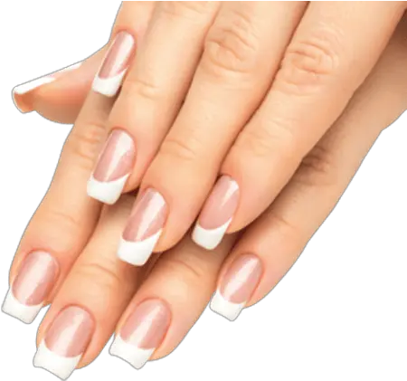 Png Images Transparent Mãos Com Unhas Pintadas Png Nails Png