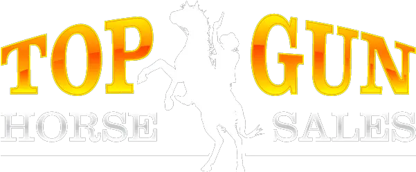 Top Gun Horse Sales Terms U0026 Conditions Top Gun Horse Sales Wells Fargo Png Top Gun Logo