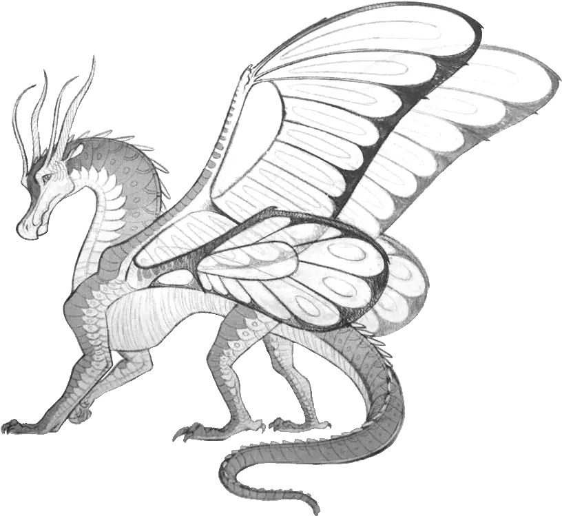 Rhea Wings Of Fire Fanon Wiki Fandom Wings Of Fire Dragons Drawings Png Fire Wings Png