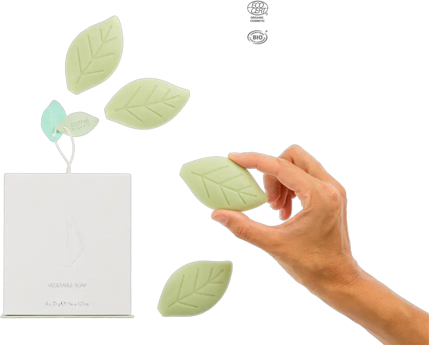 Organic Certified Leaf Shaped Soaps Gift Set Osmeu0027 Gfl Jabones En Forma De Hoja Png Soap Png