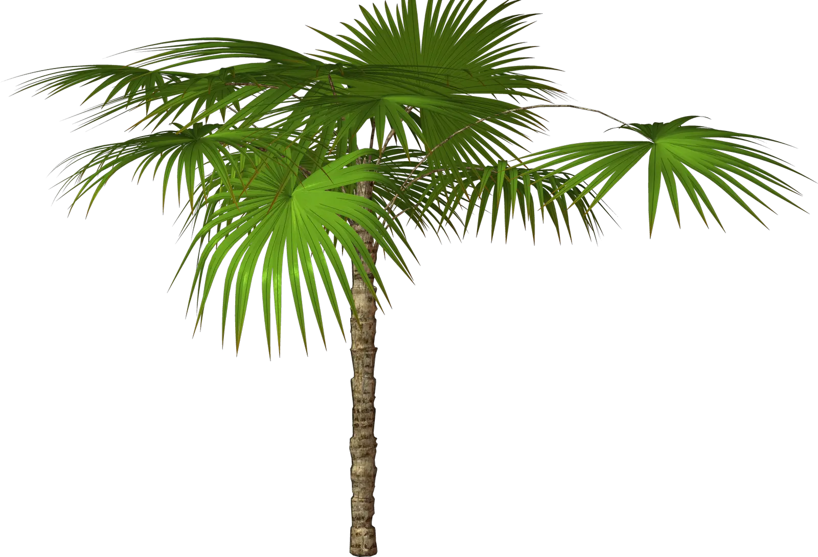 Lofi Palm Trees Png