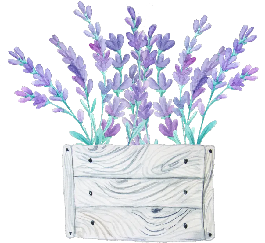 Download Hd Wood Flower Bed Transparent Decorative Material Watercolor Painting Png Flower Bed Png