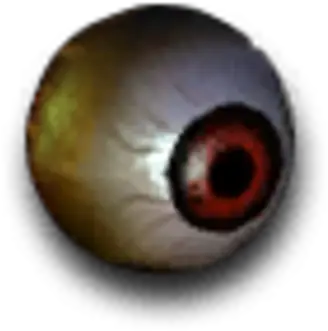 Human Eyeball Wasteland Wiki Fandom Macro Photography Png Eye Ball Png