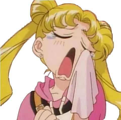 Sad Anime Aesthetic Sailor Moon Novocomtop Sailor Moon Aesthetic Crunge Png Sailor Moon Aesthetic Icon