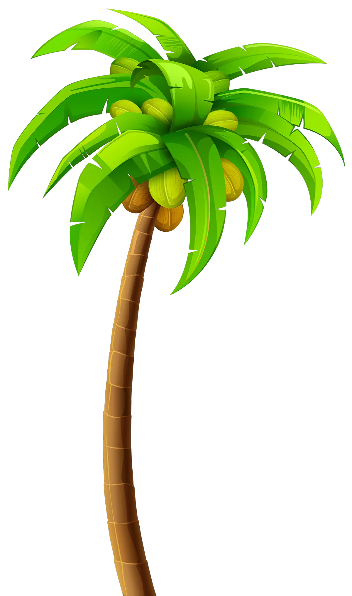 Hand Drawn Palm Tree Png