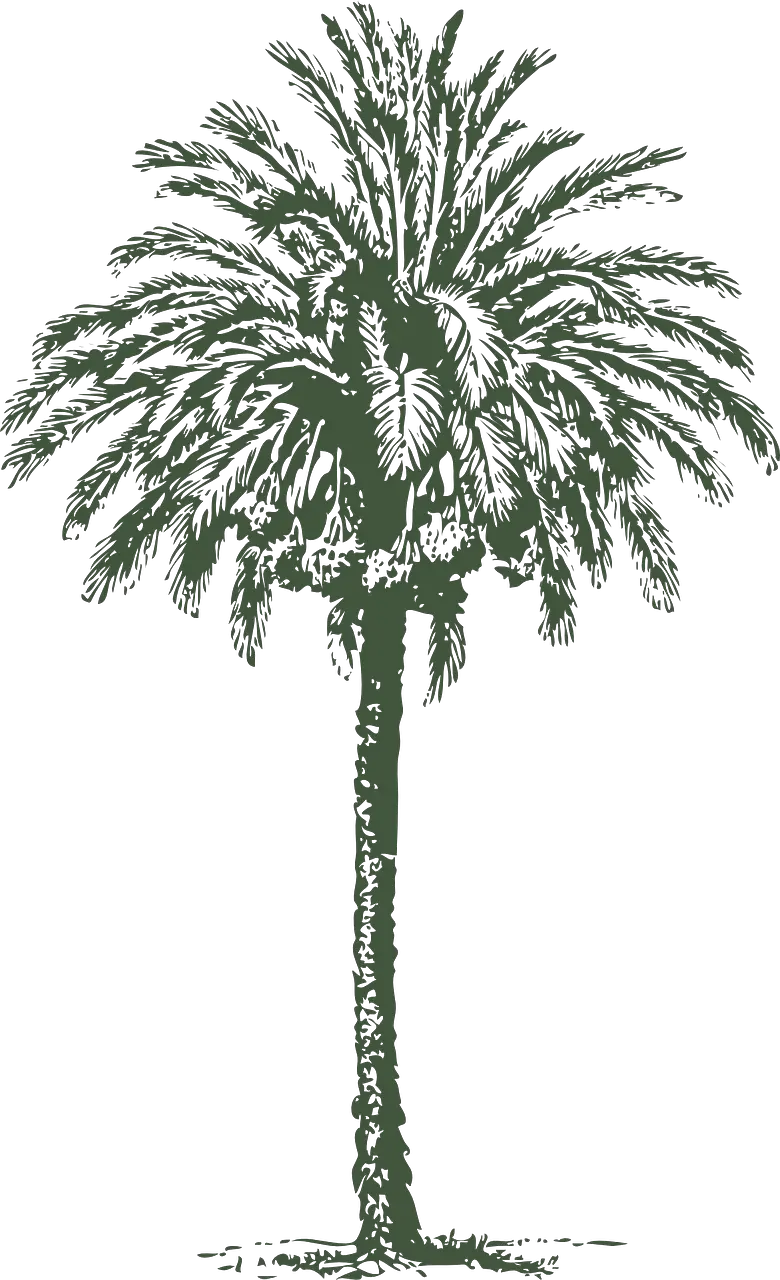 Grey Palm Trees Png