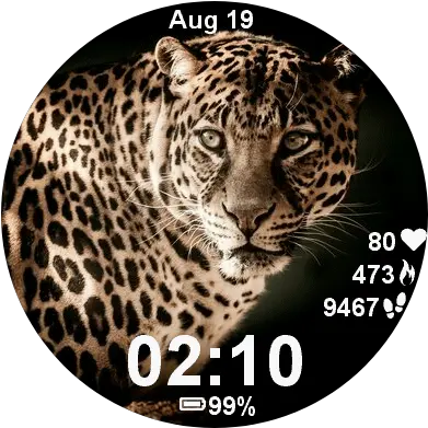 Leopard Arboreal Animals Ten Example Png Leopard Icon