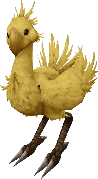 Chocobo Final Fantasy Animals Chocobo Png Chocobo Png