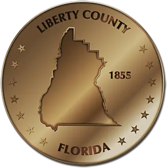 Liberty Fun Style Maps 10 Coinsu2014bronze Solid Png Florida Silhouette Png