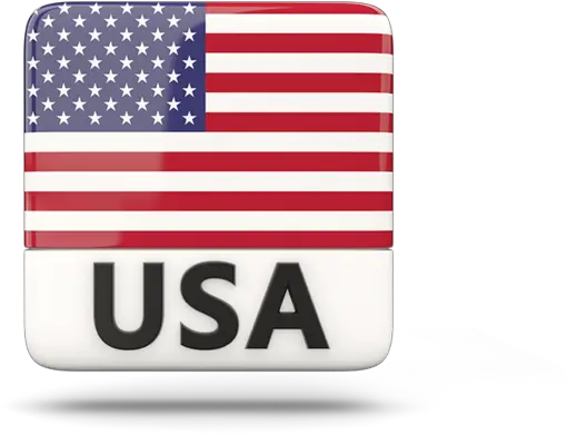Usa Flag Icon Free Download As Png And Trump American Flag Tweet Usa Flag Png