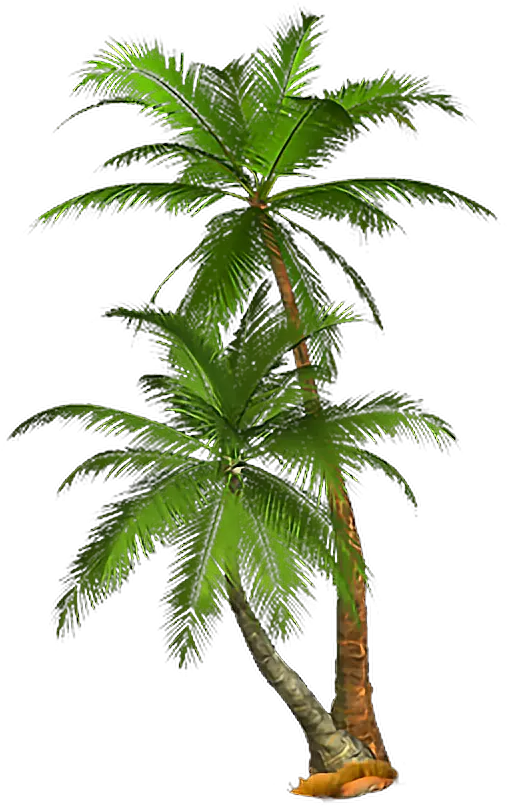 Free Palm Tree Fronds Png