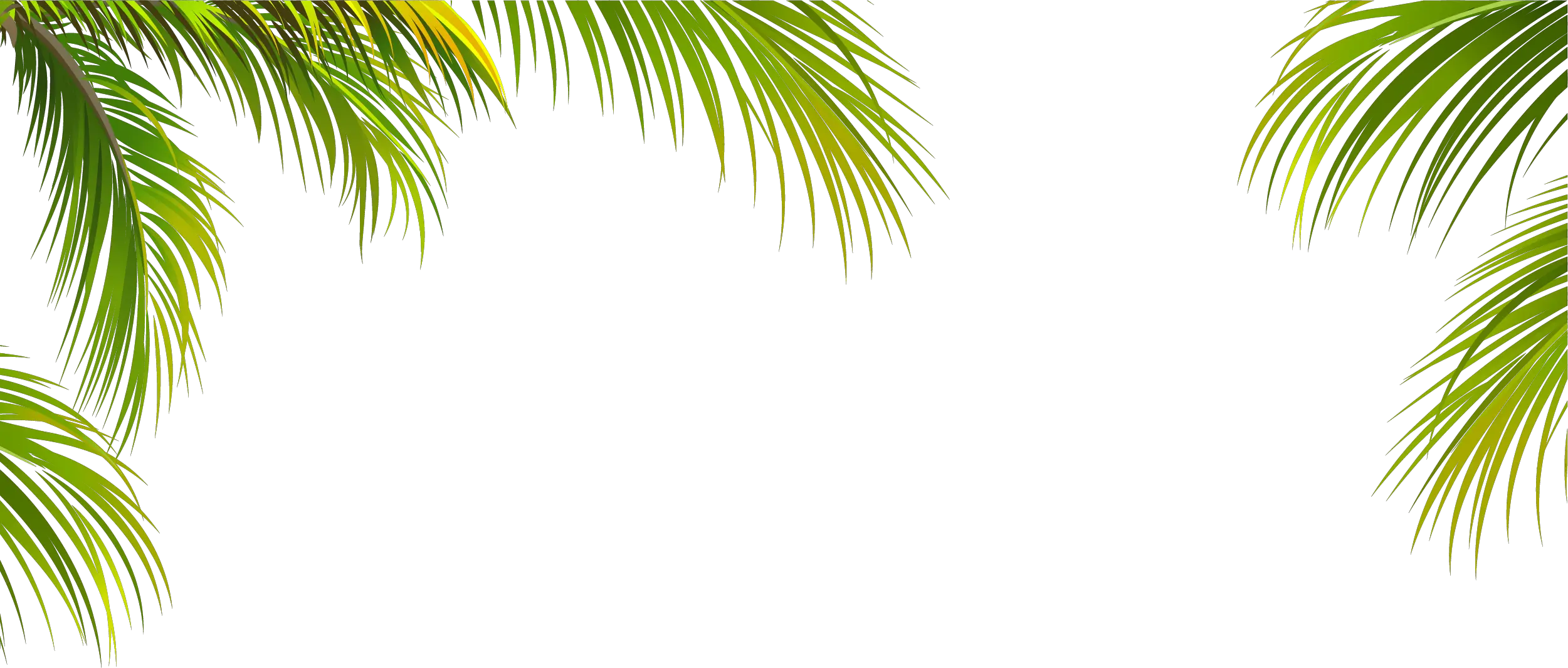 Florida Palm Tree Vector Png