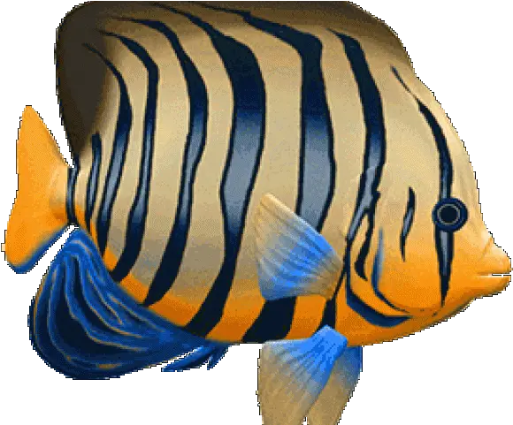 Tropical Fish Clipart 3d Peces Gif Animados Png Coral Reef Fish Fish Clipart Png
