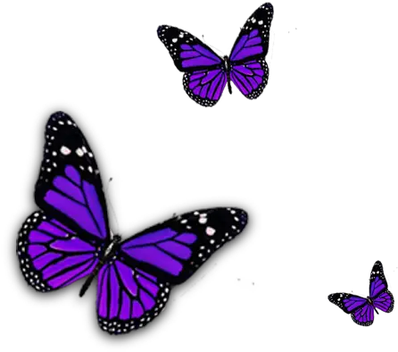 Purple Butterfly Png Clipart Purple Butterfly Transparent Butterflies Transparent Background