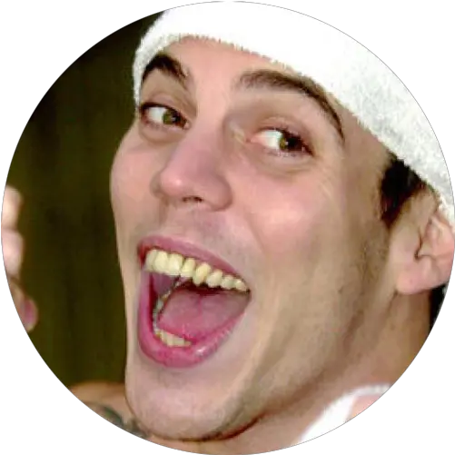 Download Steve Steve O Fake Teeth Png Steve Buscemi Png