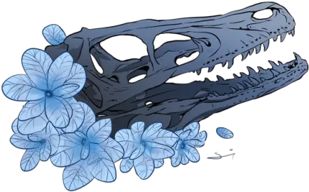 Dino Skull Tumblr Velociraptor Blue Png Dinosaur Skull Png