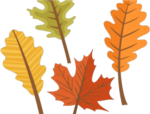 Fall Leaves Clipart Cute Autumn Leaves Cliparts Fall Clipart Leaves Png Fall Leaves Clipart Png