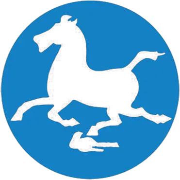 China Tourism Logo China National Tourism Administration Png Horse Logos