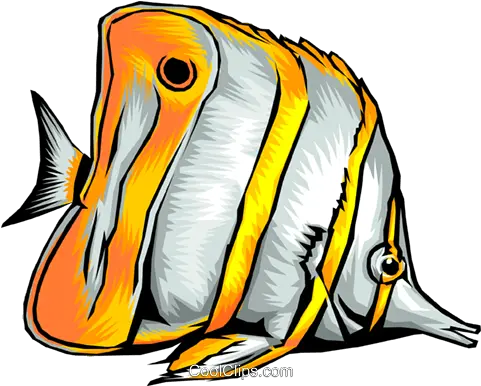 Tropical Fish Royalty Free Vector Clip Art Illustration Types Of Bony Fish Png Tropical Fish Png